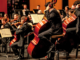 knoxville symphony orchestra group playing at concert